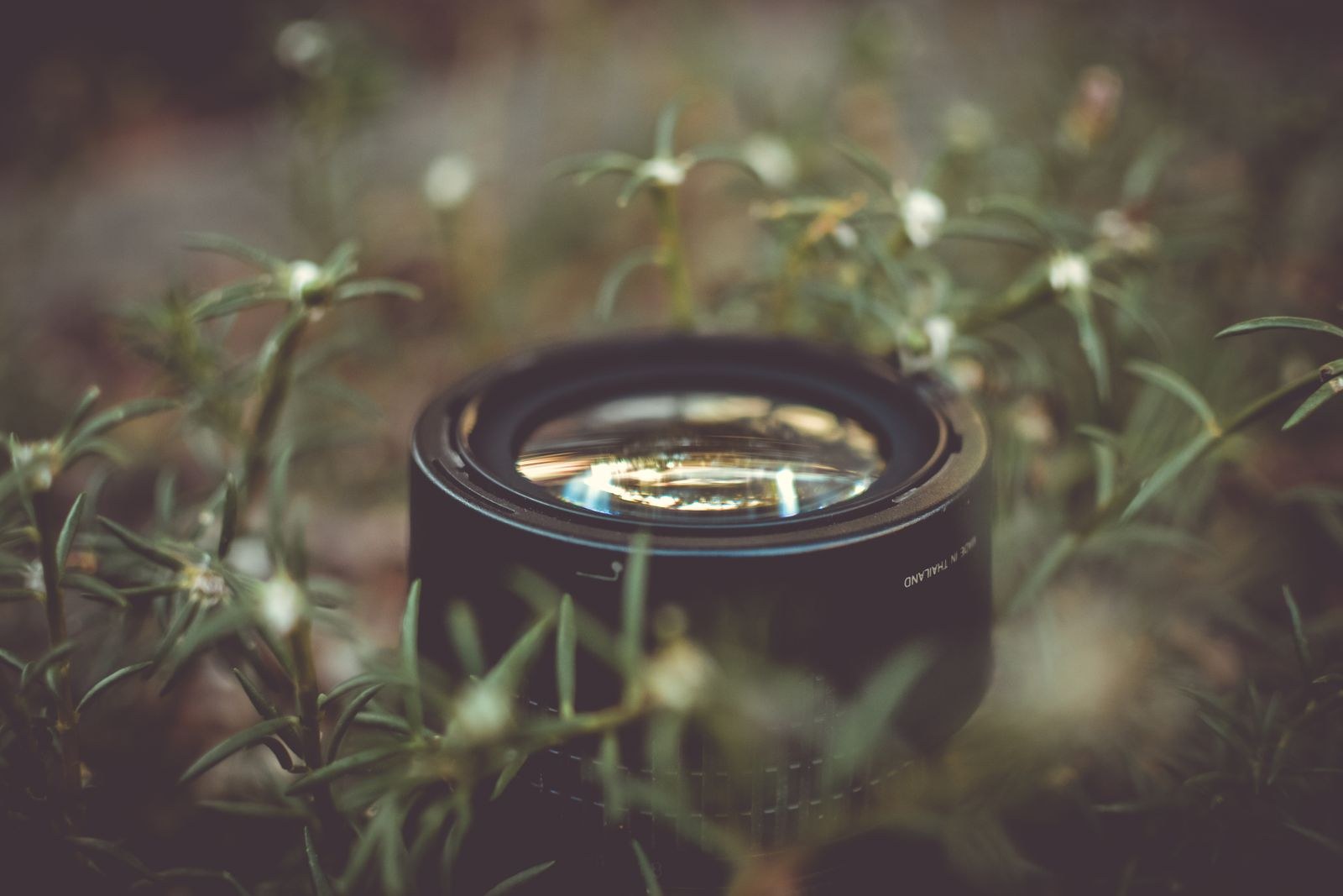 Macro shot of a camera lens